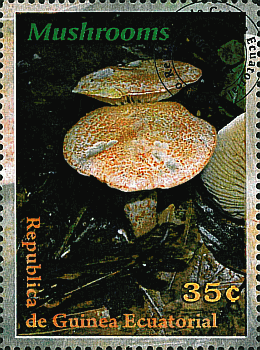 Briefmarke