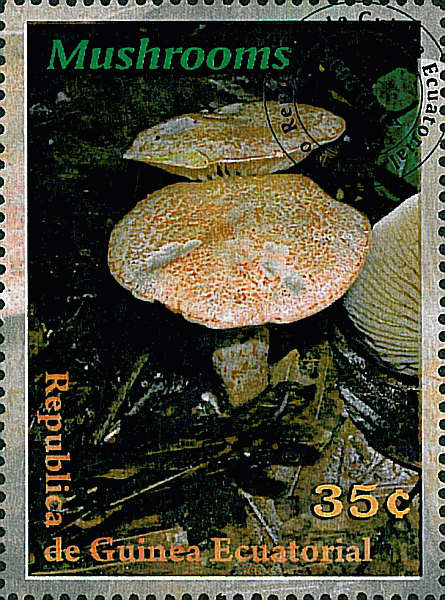 Briefmarke