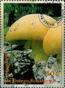 Briefmarke