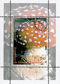 Kleinbogen