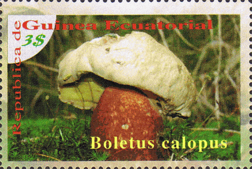 Briefmarke