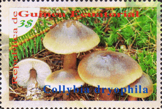 Briefmarke