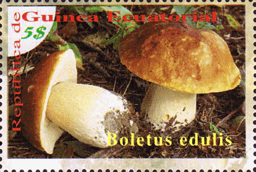 Briefmarke
