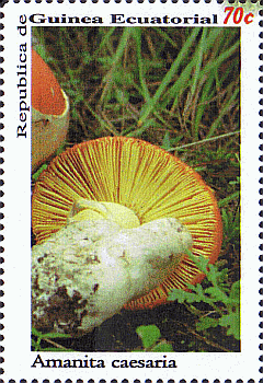 Briefmarke