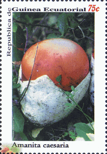 Briefmarke