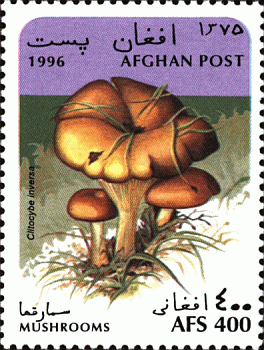 Briefmarke