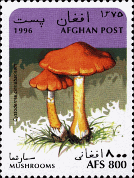 Briefmarke