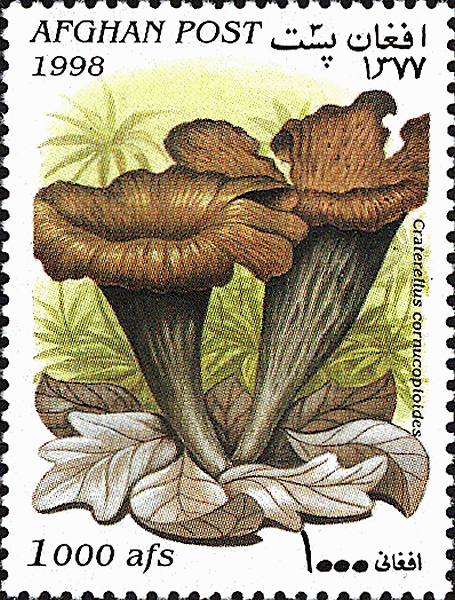 Briefmarke