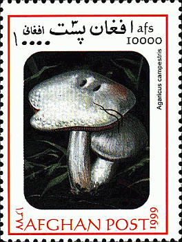 Briefmarke