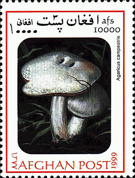 Briefmarke