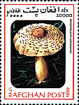 Briefmarke