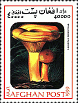 Briefmarke