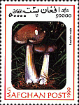 Briefmarke