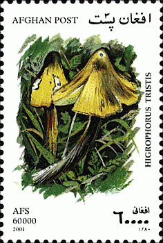 Briefmarke