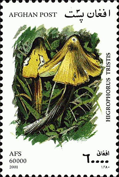Briefmarke