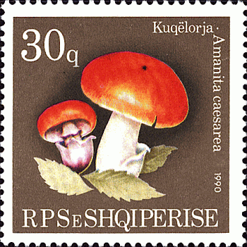 Briefmarke