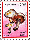 Briefmarke