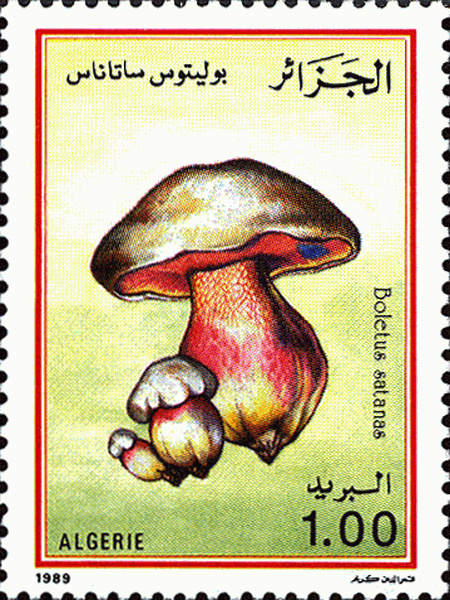 Briefmarke