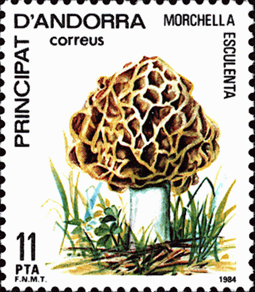 Briefmarke