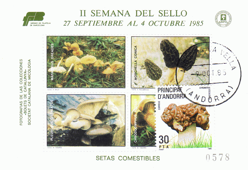 Souvenirbeleg
