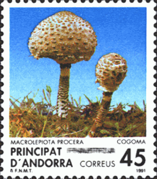 Briefmarke