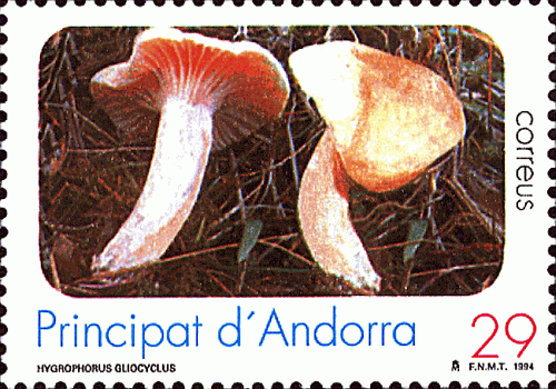 Briefmarke