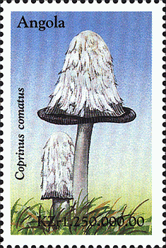 Briefmarke