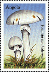 Briefmarke