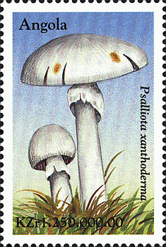 Briefmarke