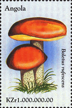 Briefmarke
