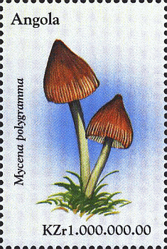 Briefmarke
