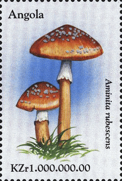 Briefmarke