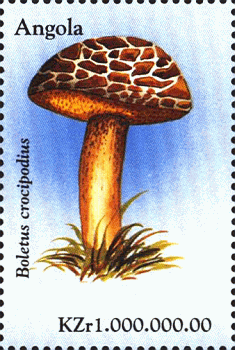Briefmarke