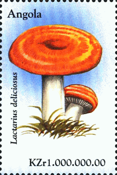 Briefmarke