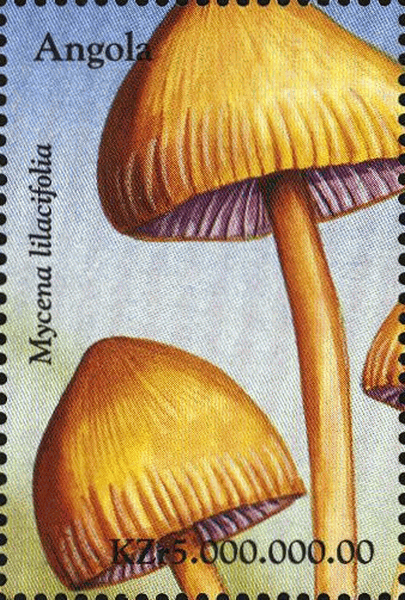 Briefmarke