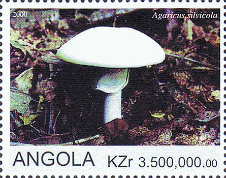 Briefmarke