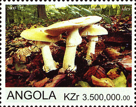 Briefmarke
