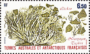 Briefmarke