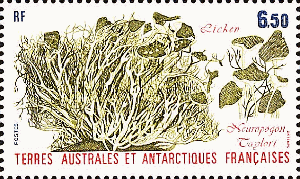 Briefmarke