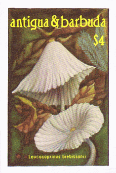Briefmarke