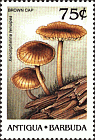 Briefmarke