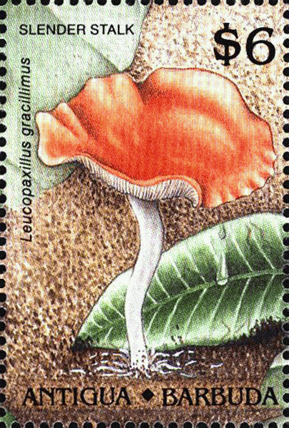 Briefmarke