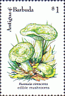 Briefmarke