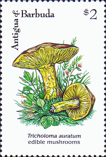 Briefmarke