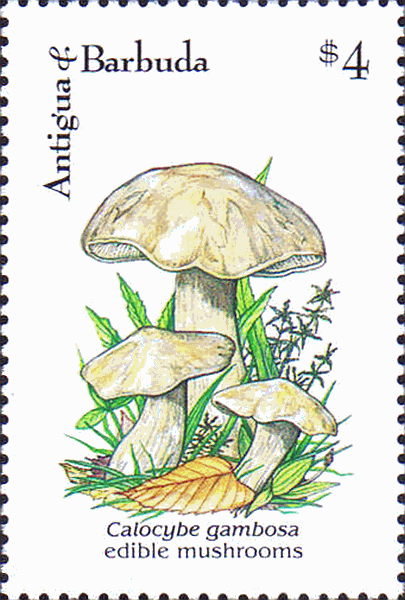 Briefmarke