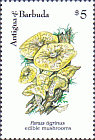 Briefmarke