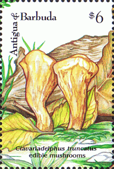 Briefmarke