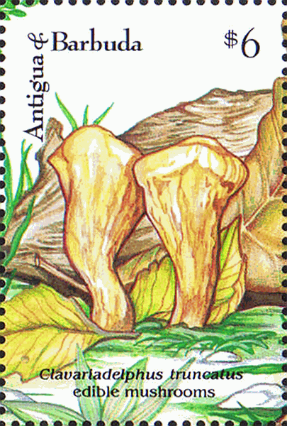 Briefmarke