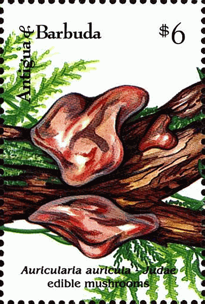 Briefmarke