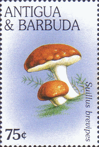Briefmarke